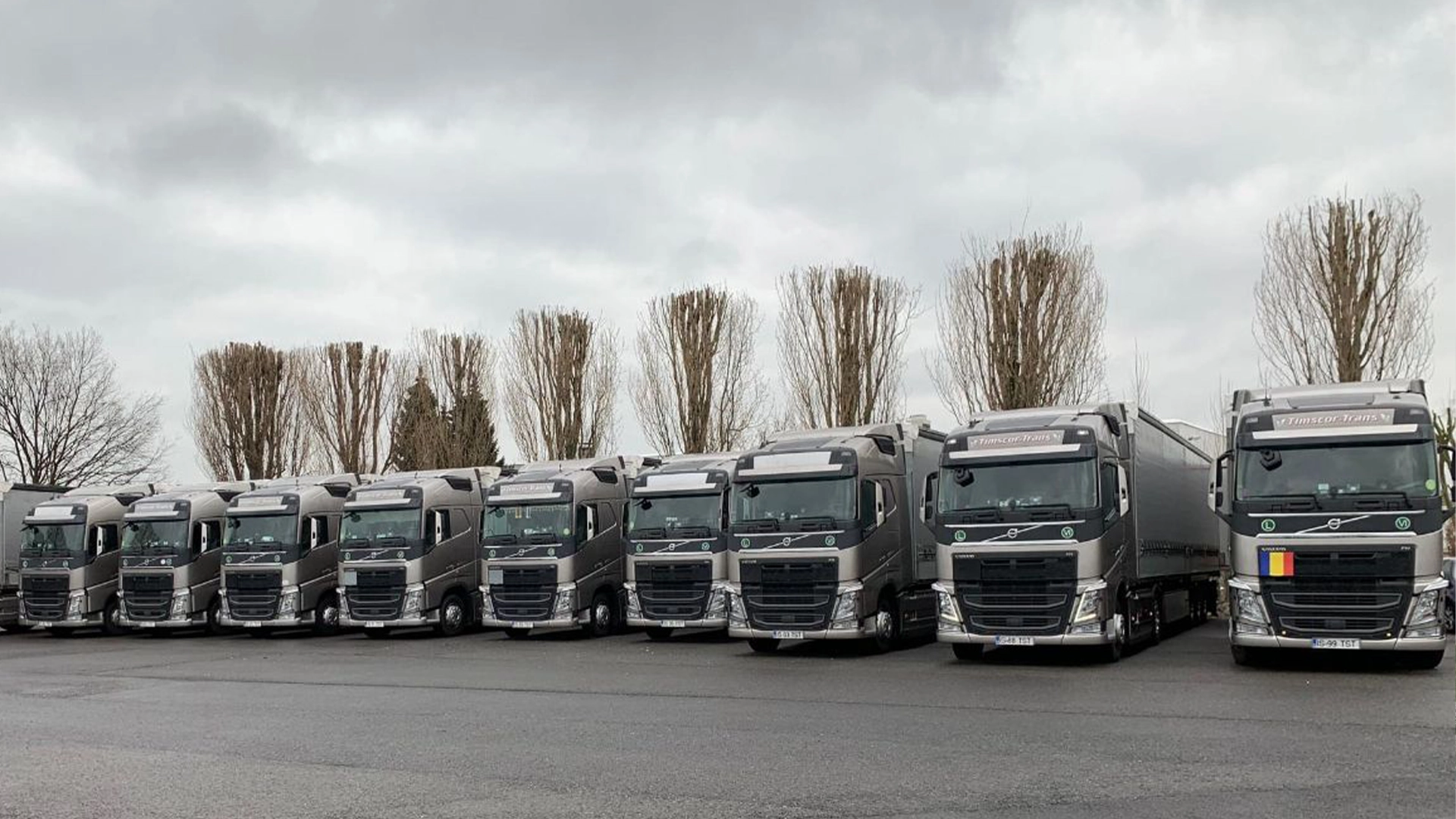O parte din flota de camioane Volvo a companiei Timscor